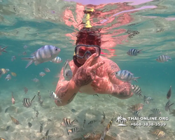 Underwater Odyssey snorkeling excursion Pattaya Thailand photo 14901