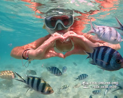 Underwater Odyssey snorkeling tour from Pattaya Thailand photo 14306
