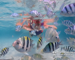 Underwater Odyssey snorkeling excursion in Pattaya Thailand photo 881