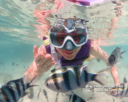 Underwater Odyssey snorkeling excursion Pattaya Thailand photo 19057