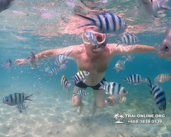 Underwater Odyssey snorkeling excursion Pattaya Thailand photo 11190