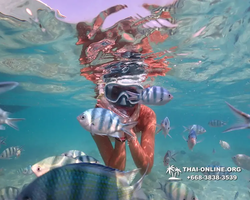 Underwater Odyssey snorkeling tour from Pattaya Thailand photo 14171
