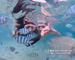 Underwater Odyssey snorkeling excursion Pattaya Thailand photo 11204