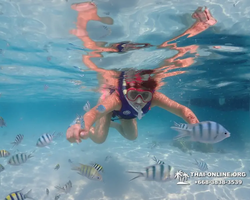 Underwater Odyssey snorkeling excursion in Pattaya Thailand photo 986