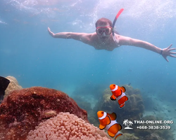 Underwater Odyssey snorkeling excursion in Pattaya Thailand photo 498