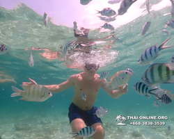 Underwater Odyssey snorkeling tour from Pattaya Thailand photo 18334