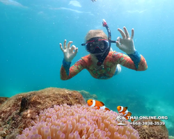 Underwater Odyssey snorkeling excursion Pattaya Thailand photo 14897