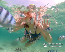 Underwater Odyssey snorkeling tour from Pattaya Thailand photo 18346