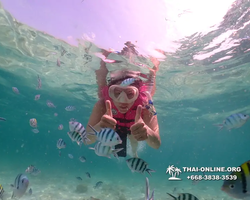 Underwater Odyssey snorkeling tour from Pattaya Thailand photo 18530