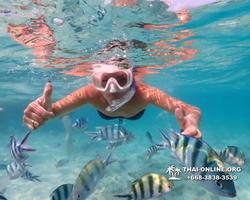 Underwater Odyssey snorkeling excursion Pattaya Thailand photo 10984