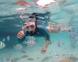 Underwater Odyssey snorkeling excursion in Pattaya Thailand photo 147