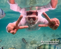 Underwater Odyssey snorkeling tour from Pattaya Thailand photo 14479