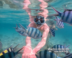 Underwater Odyssey snorkeling tour from Pattaya Thailand photo 14389