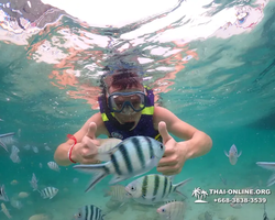 Underwater Odyssey snorkeling excursion in Pattaya Thailand photo 22