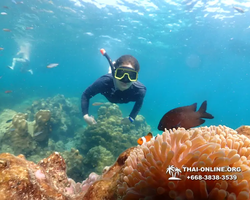 Underwater Odyssey snorkeling tour from Pattaya Thailand photo 14258