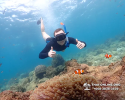 Underwater Odyssey snorkeling excursion Pattaya Thailand photo 11373