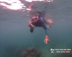 Underwater Odyssey snorkeling excursion in Pattaya Thailand photo 333