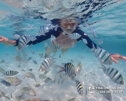 Underwater Odyssey snorkeling excursion in Pattaya Thailand photo 623