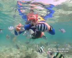 Underwater Odyssey snorkeling excursion Pattaya Thailand photo 14829