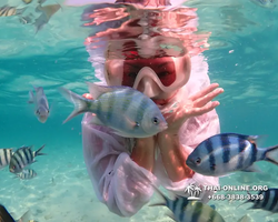 Underwater Odyssey snorkeling tour from Pattaya Thailand photo 14433