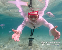 Underwater Odyssey snorkeling tour from Pattaya Thailand photo 18446