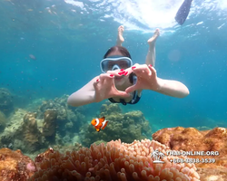 Underwater Odyssey snorkeling tour from Pattaya Thailand photo 14346