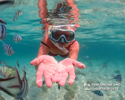 Underwater Odyssey snorkeling tour from Pattaya Thailand photo 14138