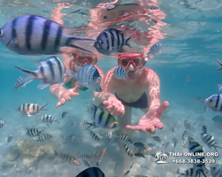 Underwater Odyssey snorkeling excursion in Pattaya Thailand photo 540