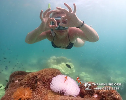 Underwater Odyssey snorkeling excursion Pattaya Thailand photo 19403