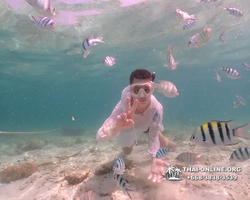 Underwater Odyssey snorkeling tour from Pattaya Thailand photo 18640