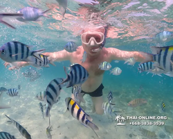 Underwater Odyssey snorkeling excursion Pattaya Thailand photo 11188