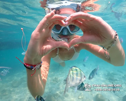 Underwater Odyssey snorkeling tour from Pattaya Thailand photo 14348