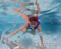 Underwater Odyssey snorkeling excursion in Pattaya Thailand photo 889