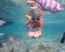 Underwater Odyssey snorkeling tour from Pattaya Thailand photo 14521