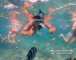 Underwater Odyssey snorkeling excursion Pattaya Thailand photo 11532