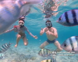 Underwater Odyssey snorkeling excursion Pattaya Thailand photo 11067