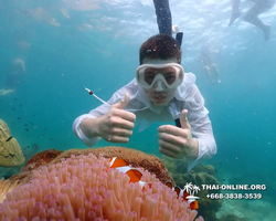 Underwater Odyssey snorkeling tour from Pattaya Thailand photo 18488