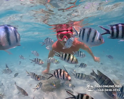 Underwater Odyssey snorkeling excursion in Pattaya Thailand photo 420