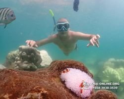 Underwater Odyssey snorkeling excursion Pattaya Thailand photo 19331