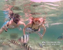 Underwater Odyssey snorkeling tour from Pattaya Thailand photo 18268