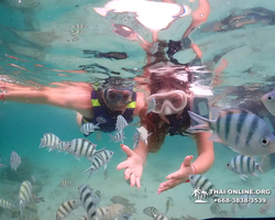 Underwater Odyssey snorkeling excursion in Pattaya Thailand photo 53