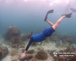 Underwater Odyssey snorkeling excursion in Pattaya Thailand photo 315