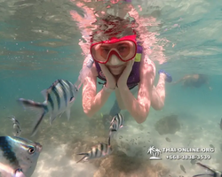 Underwater Odyssey snorkeling excursion Pattaya Thailand photo 19509