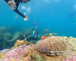 Underwater Odyssey snorkeling excursion Pattaya Thailand photo 11558