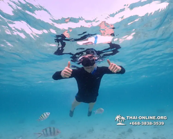 Underwater Odyssey snorkeling excursion Pattaya Thailand photo 11141