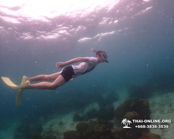 Underwater Odyssey snorkeling excursion in Pattaya Thailand photo 314