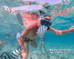 Underwater Odyssey snorkeling excursion Pattaya Thailand photo 11074