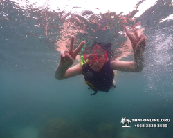 Underwater Odyssey snorkeling excursion in Pattaya Thailand photo 56