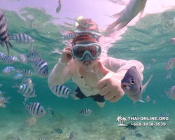 Underwater Odyssey snorkeling tour from Pattaya Thailand photo 18314