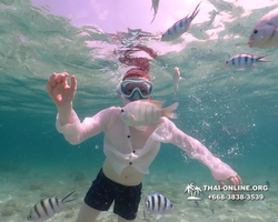 Underwater Odyssey snorkeling tour from Pattaya Thailand photo 18327